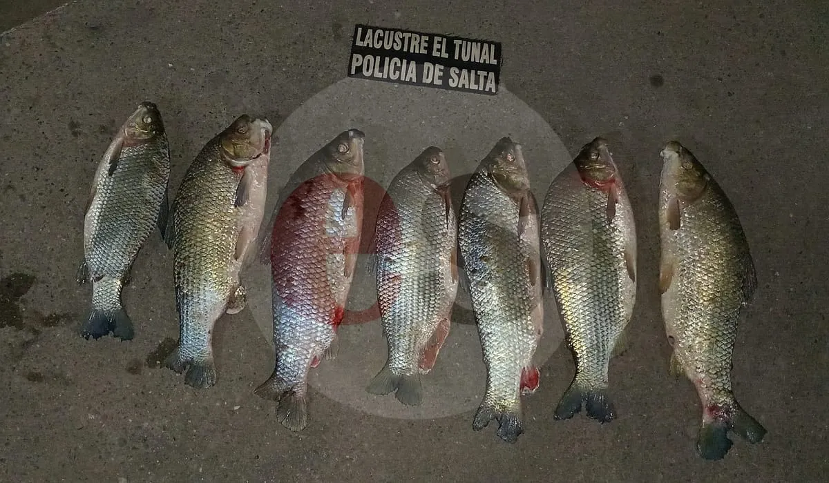 Peces El Tunal