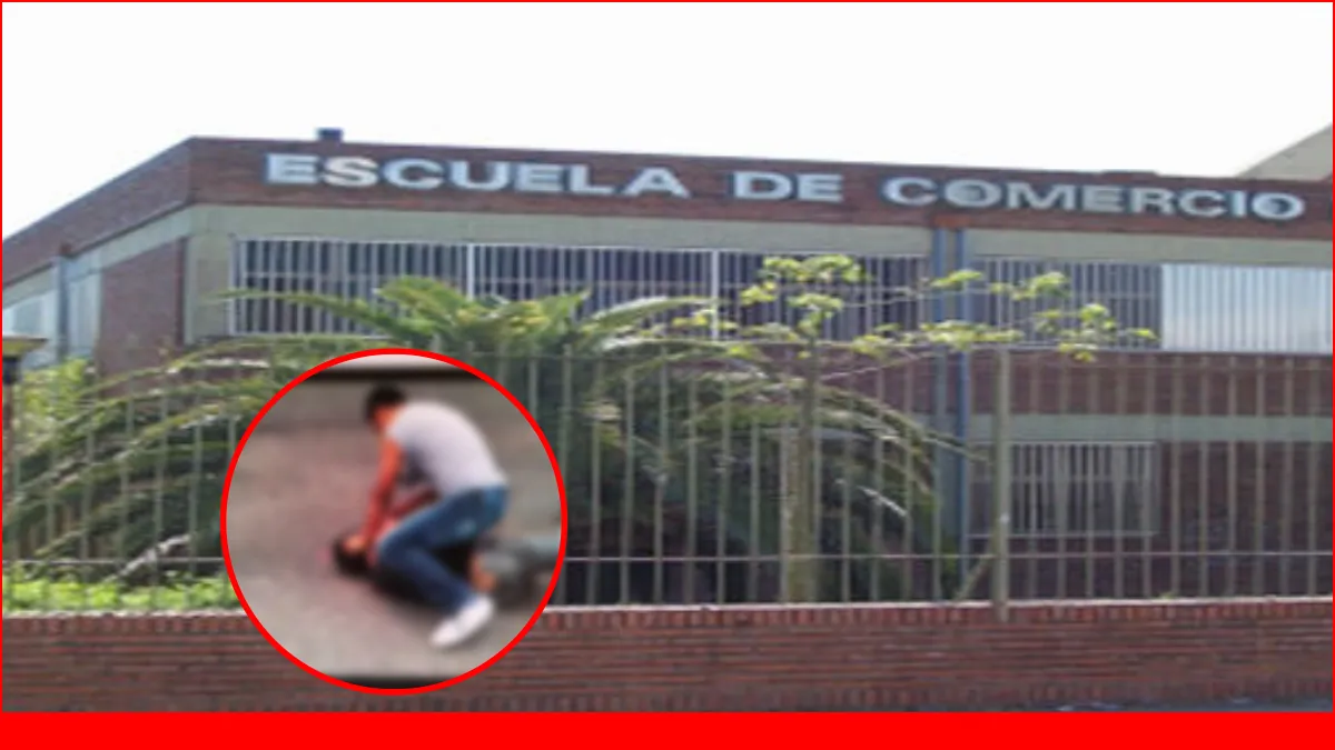 escuela de comercio