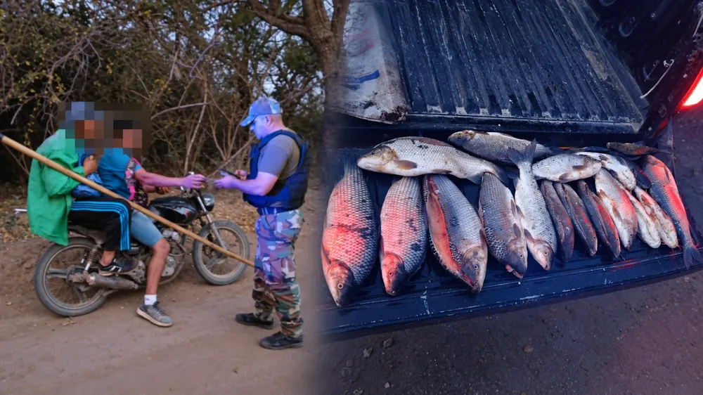 pesca furtiva