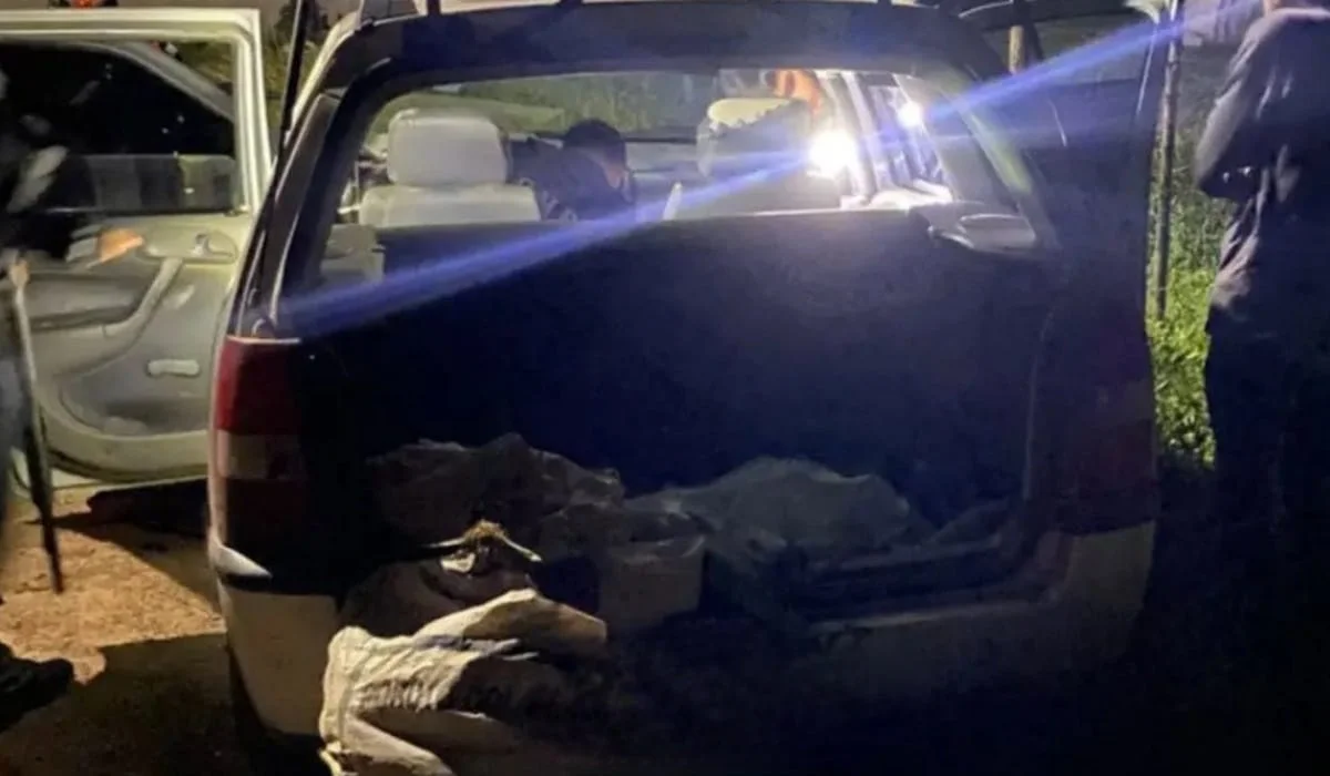 WhatsApp Image 2026-03-28 at 22.00.20