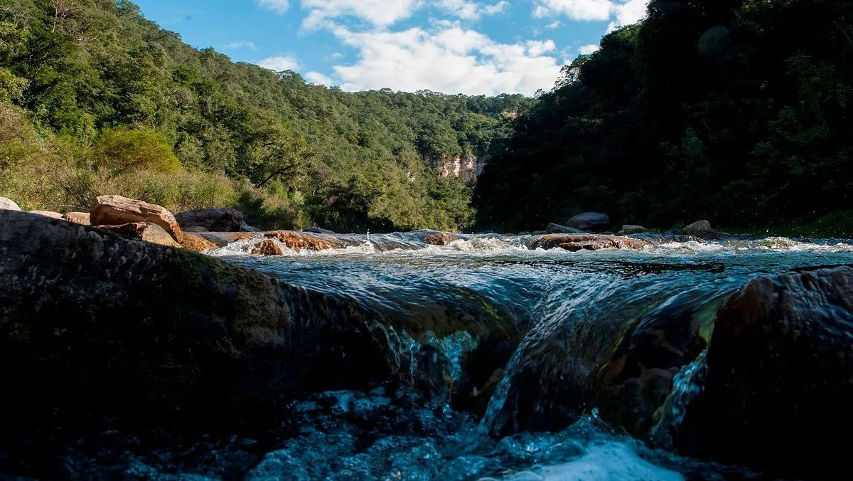 reserva-nacional-pizarro