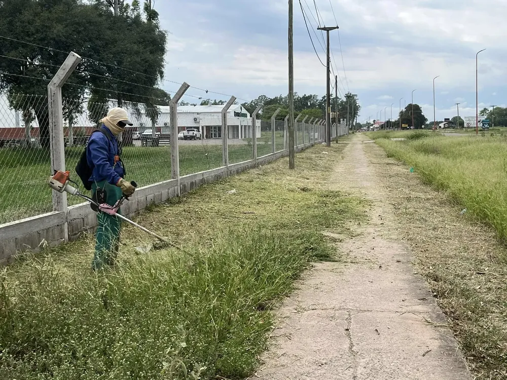 desmaleza jvg