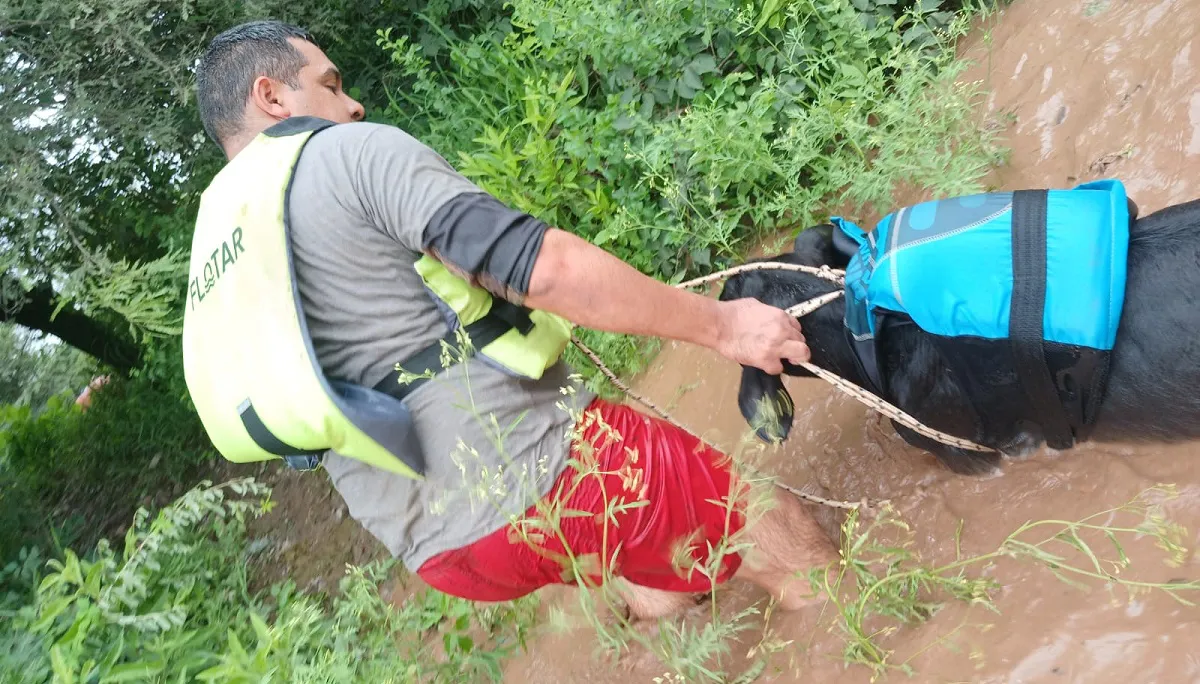 RESCATE - LACUSTRE (2)