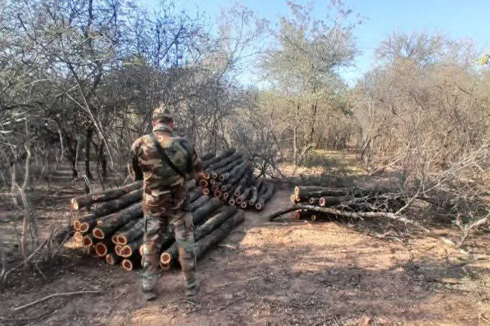 FB_IMG_1755788080486