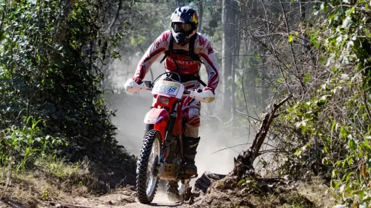 IMG_20251031_154136_(1200_x_675_píxel)