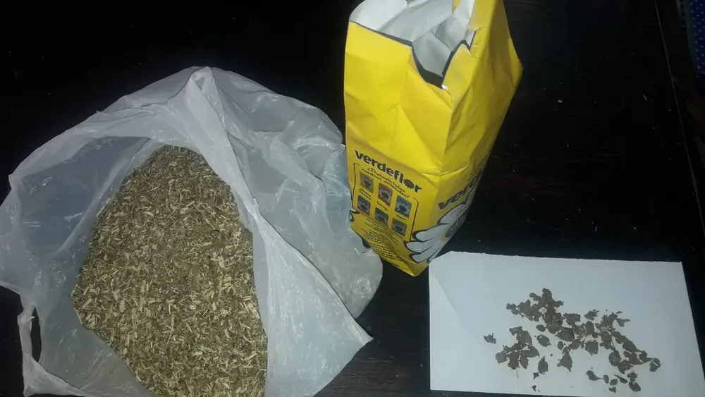 yerba