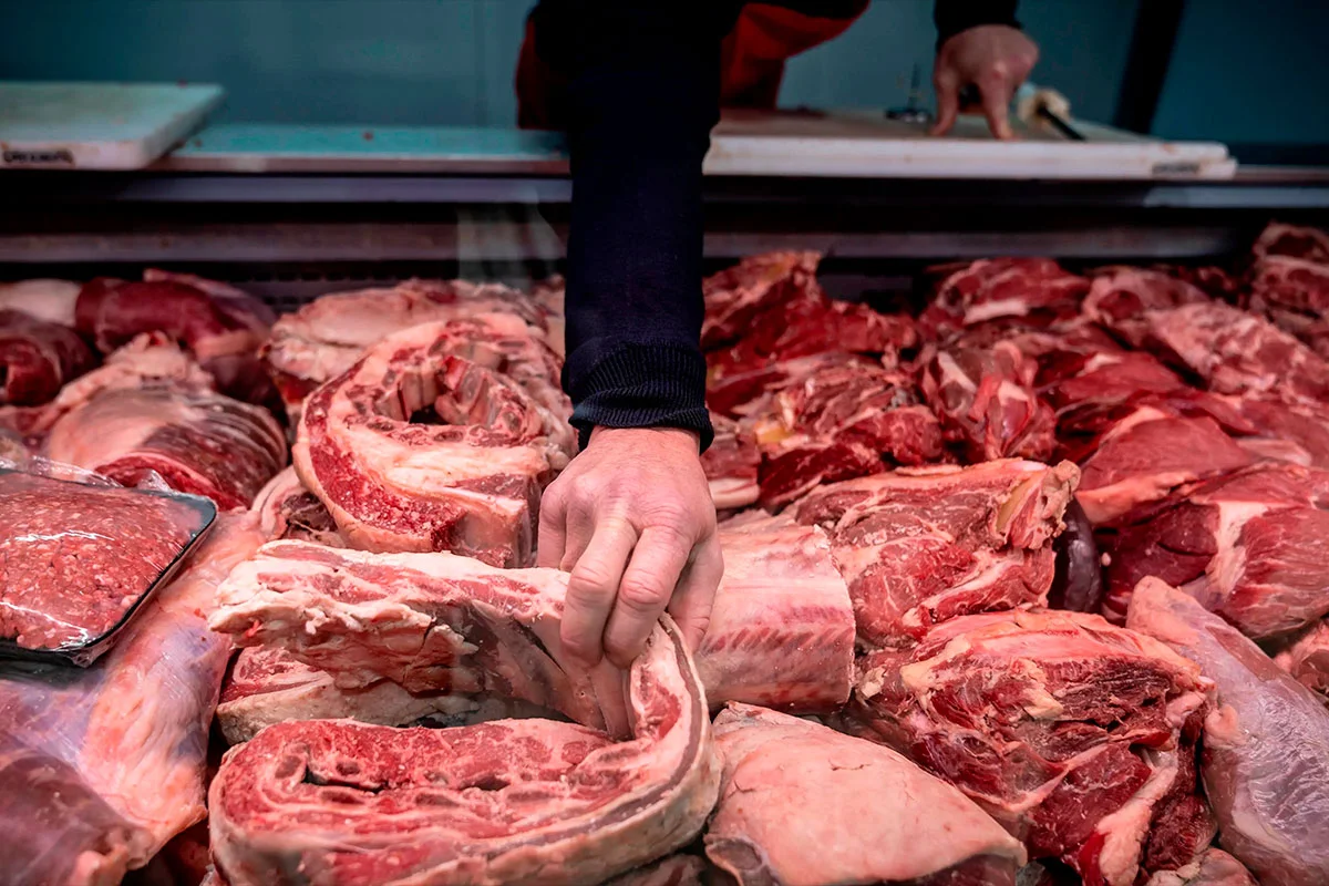 Carne