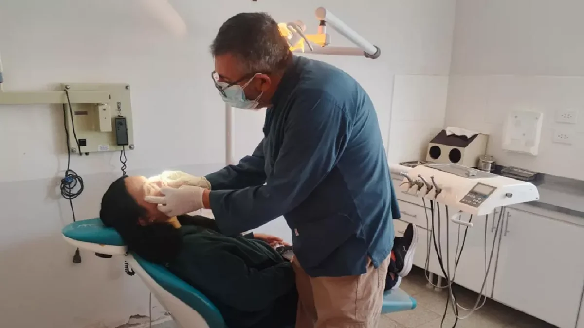 Odontologia