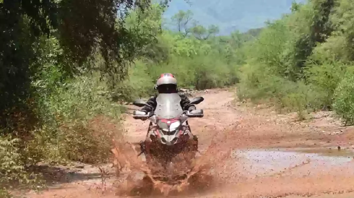 Turismo