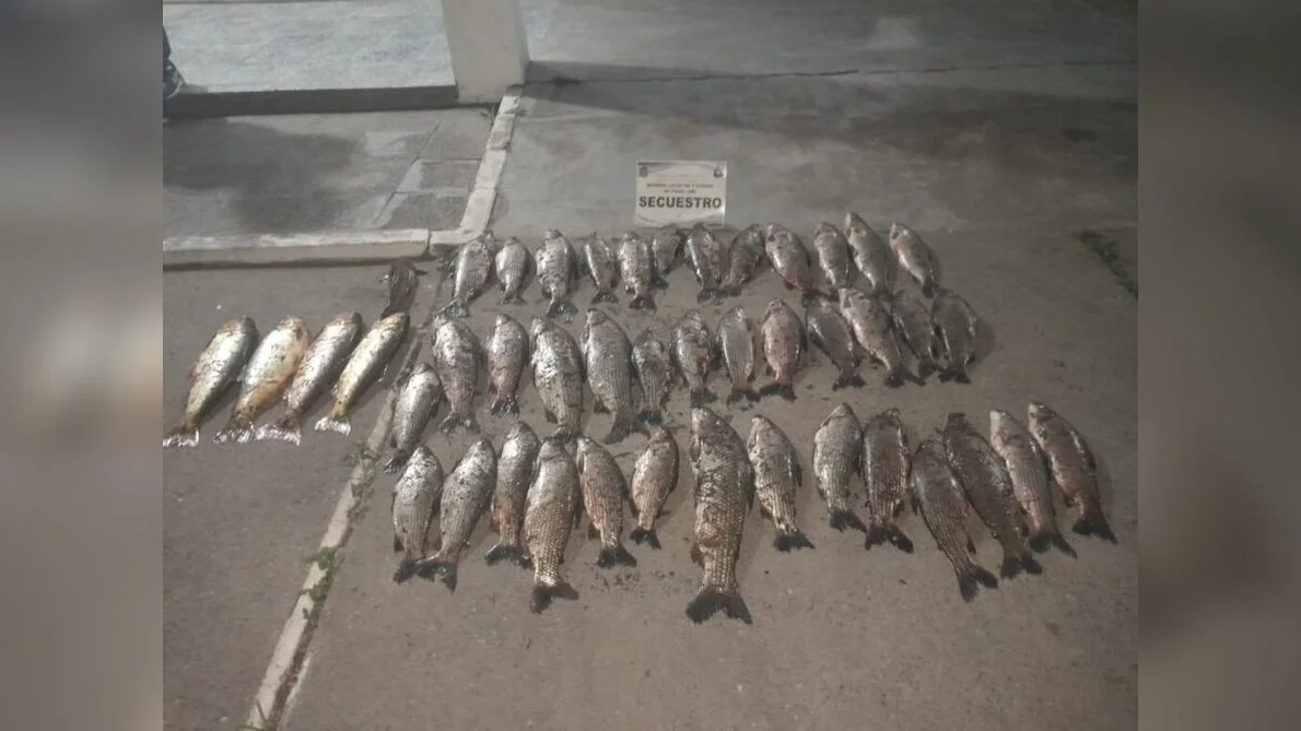 peces