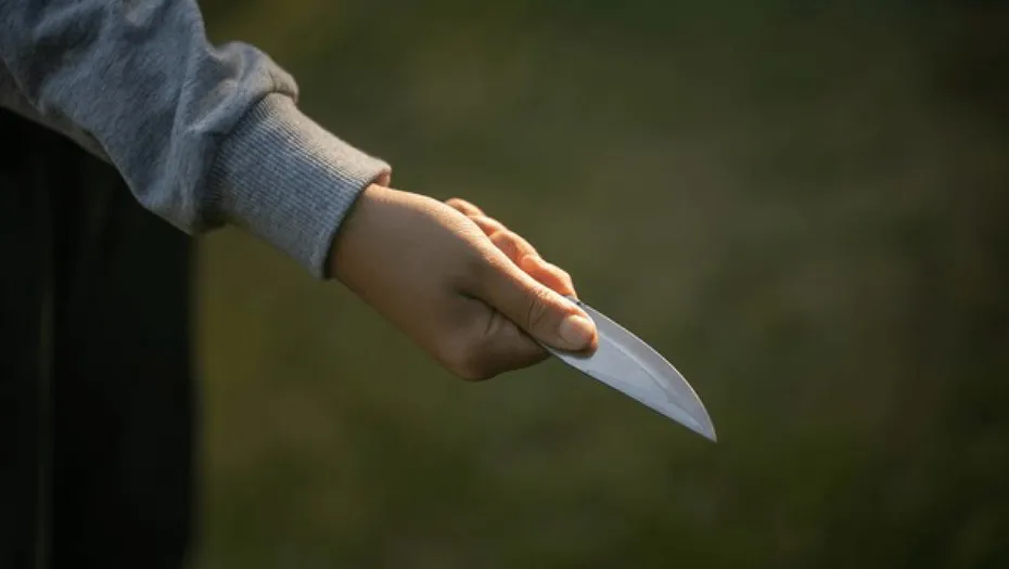 IMG_20240904_162300_(930_x_525_píxel)