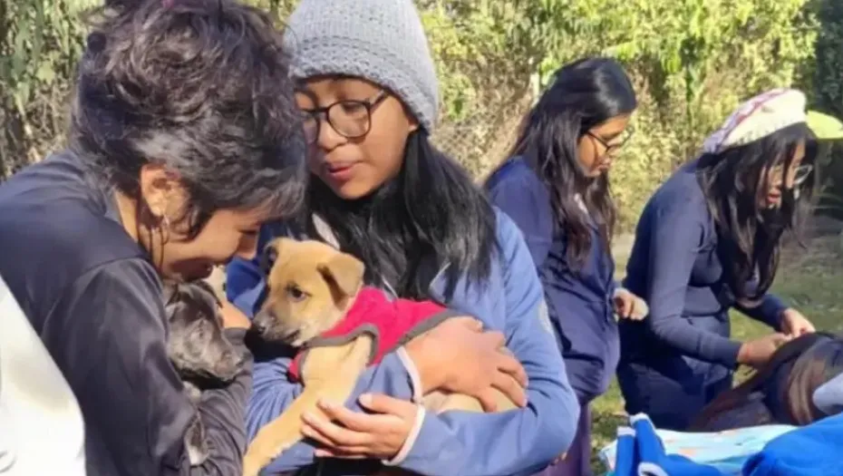 IMG_20241114_164245_(930_x_525_píxel)