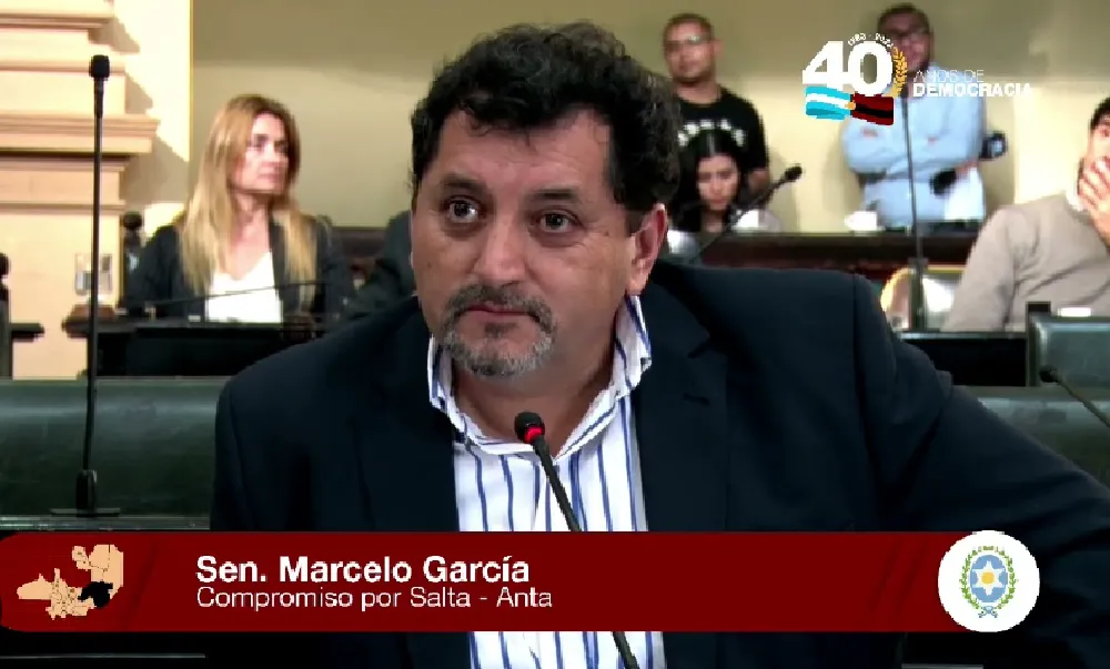 Marcelo García, senador provincial
