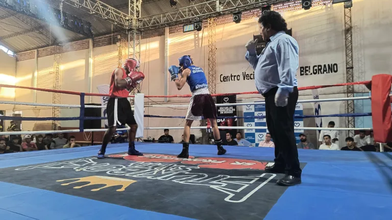 Boxeo