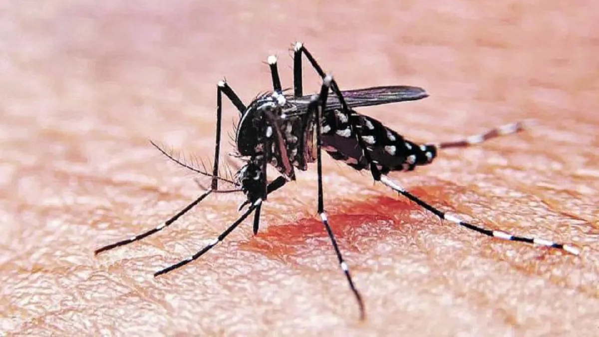 Más de mil casos de dengue en Salta