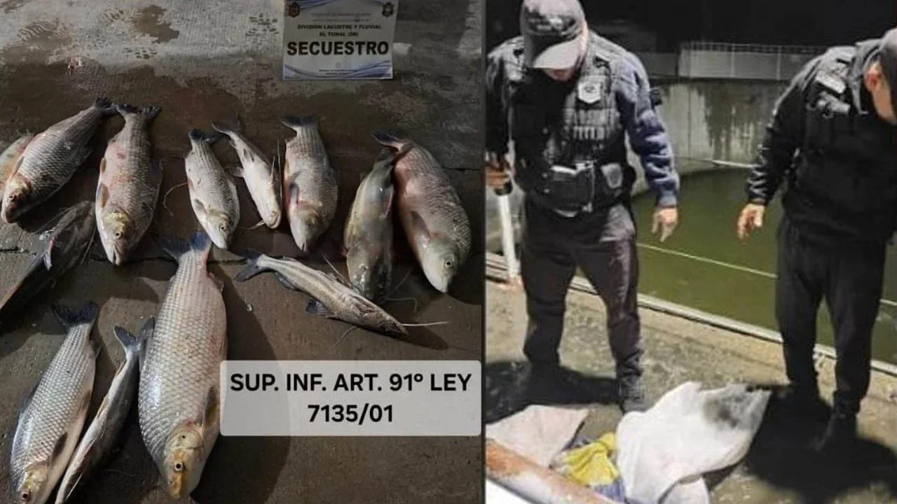 Pesca