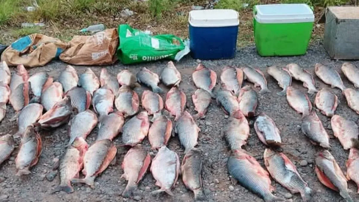 IMG_20251114_181905_(1200_x_675_píxel)