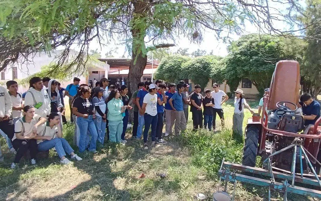 jovenes