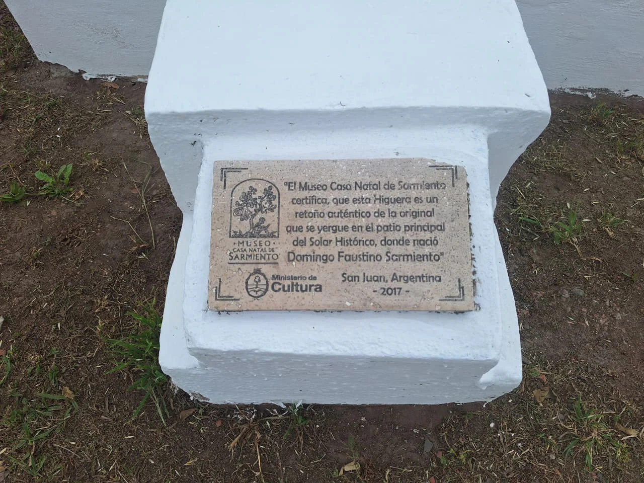Higuera (2)