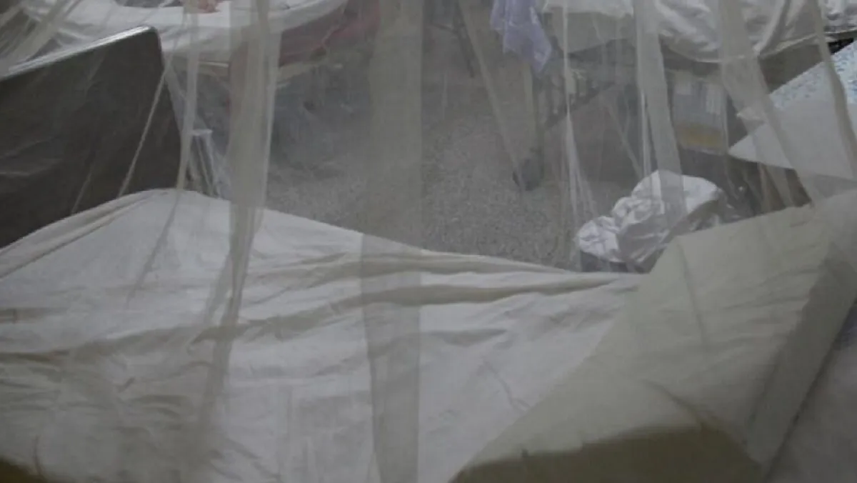 Dengue Imagen de Archivo