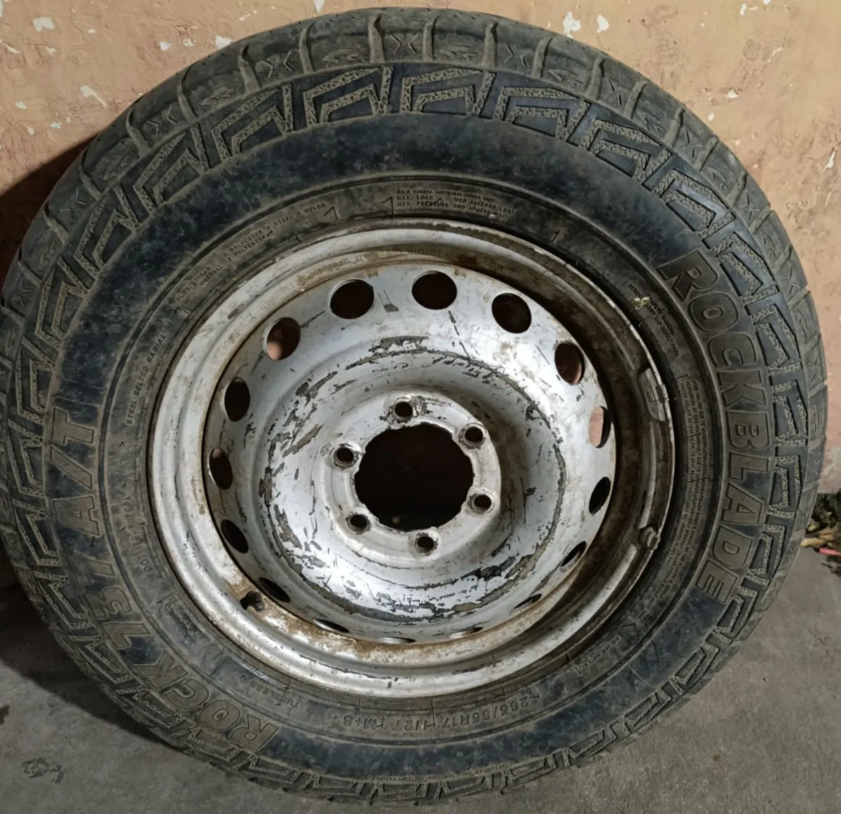 WhatsApp Image 2025-10-11 at 12.53.33