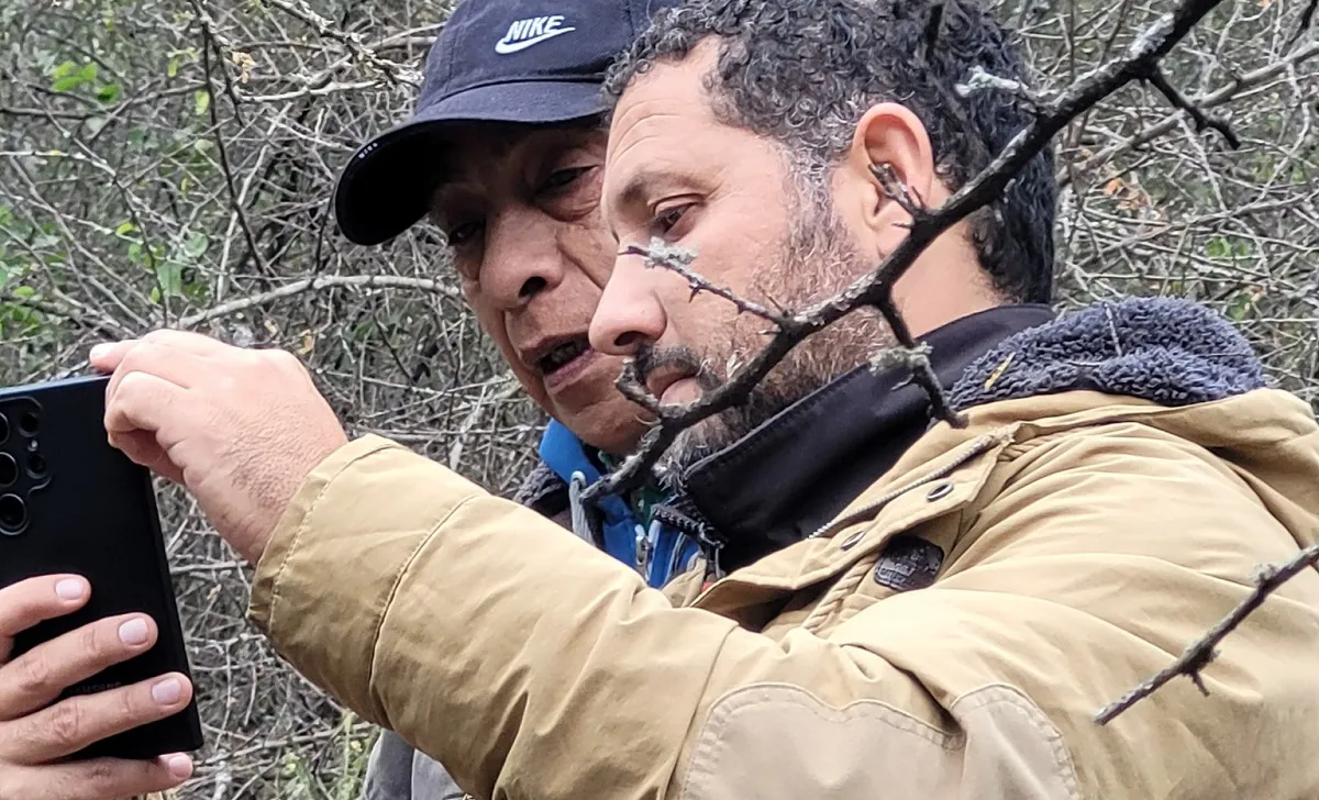 Estudiosos