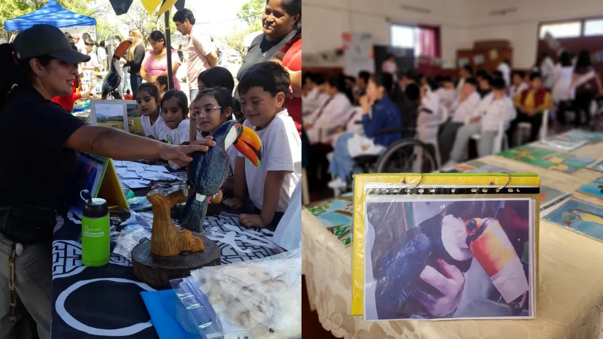 aves concientizacion