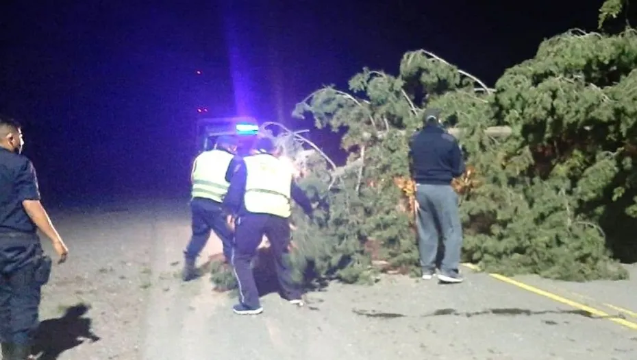 IMG_20240206_180532_(930_x_525_píxel)