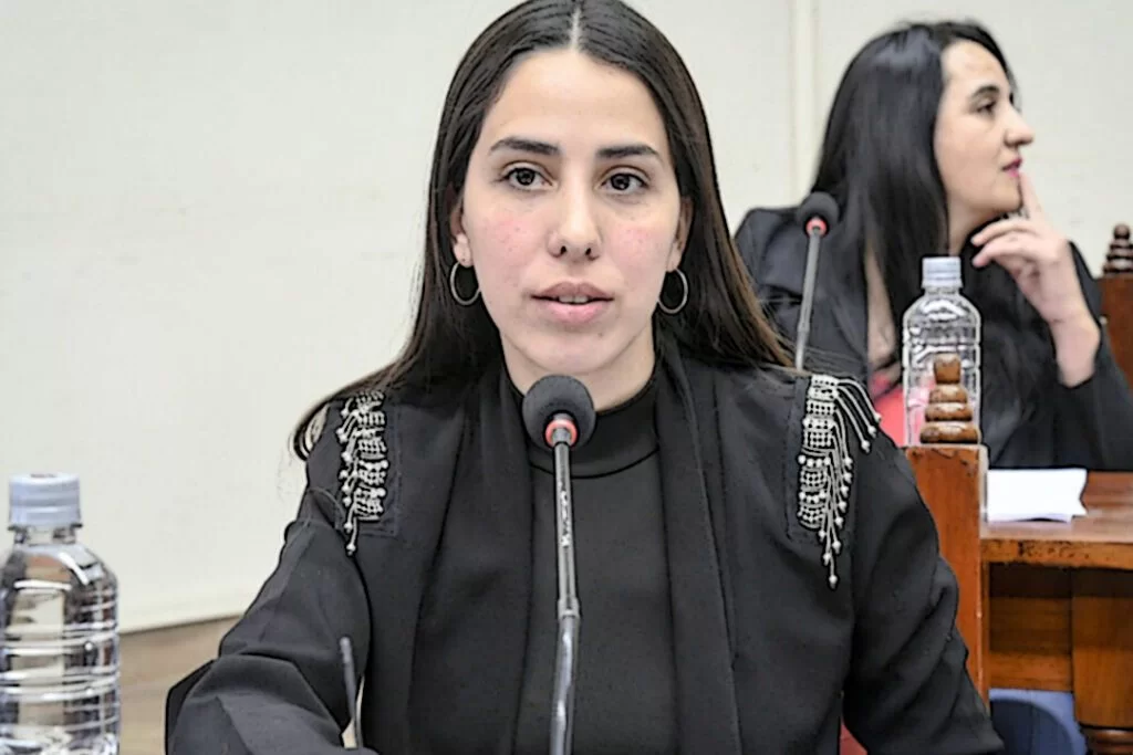 concejal agustina álvarez