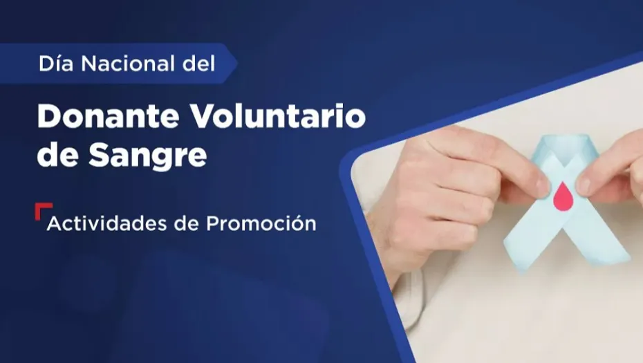 IMG_20241102_183025_(930_x_525_píxel)