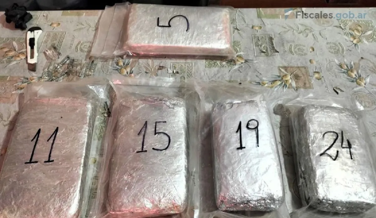 Caso - empleado judicial - drogas (2)