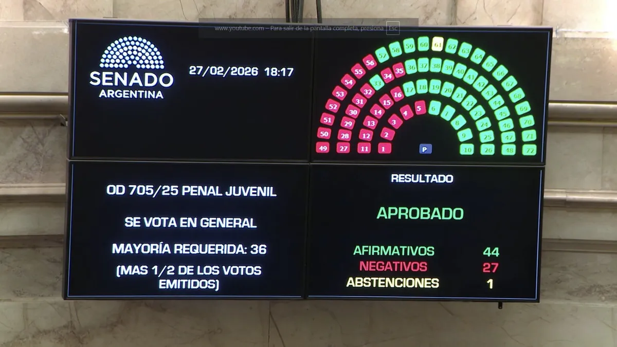 senado ley penal juvenil