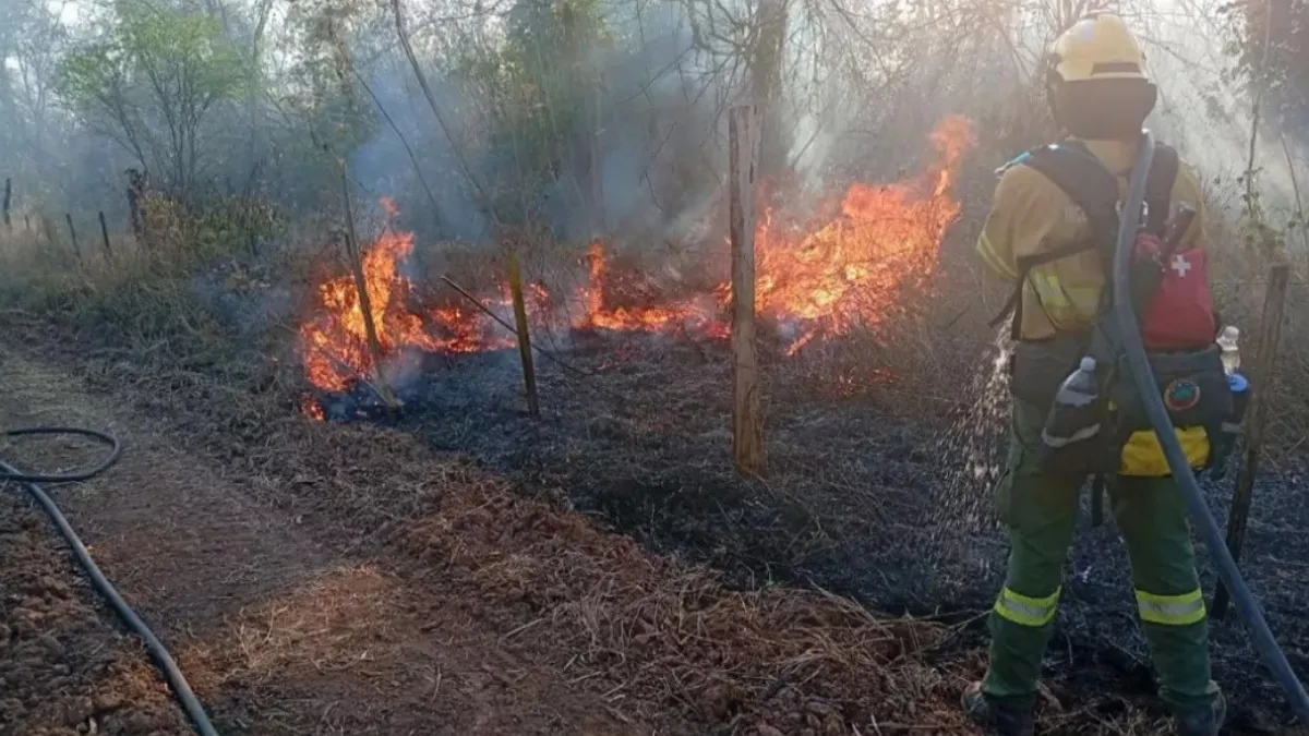 IMG_20251003_181014_(1200_x_675_píxel)