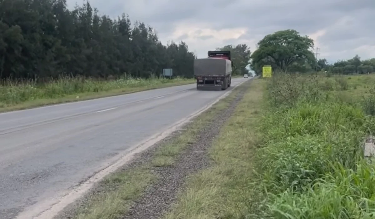 Ruta