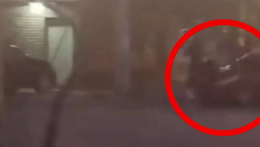 Picsart_24-12-10_17-31-52-308