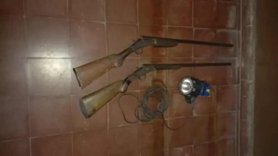 armas de