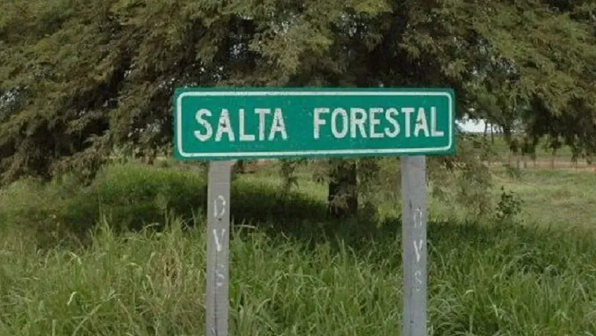 Salta Forestal