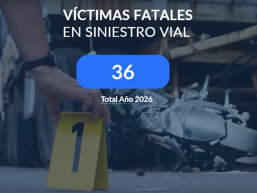 Victimas viales