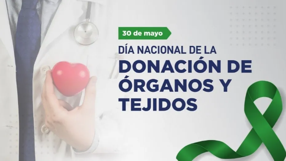 IMG_20240529_181528_(930_x_525_píxel)