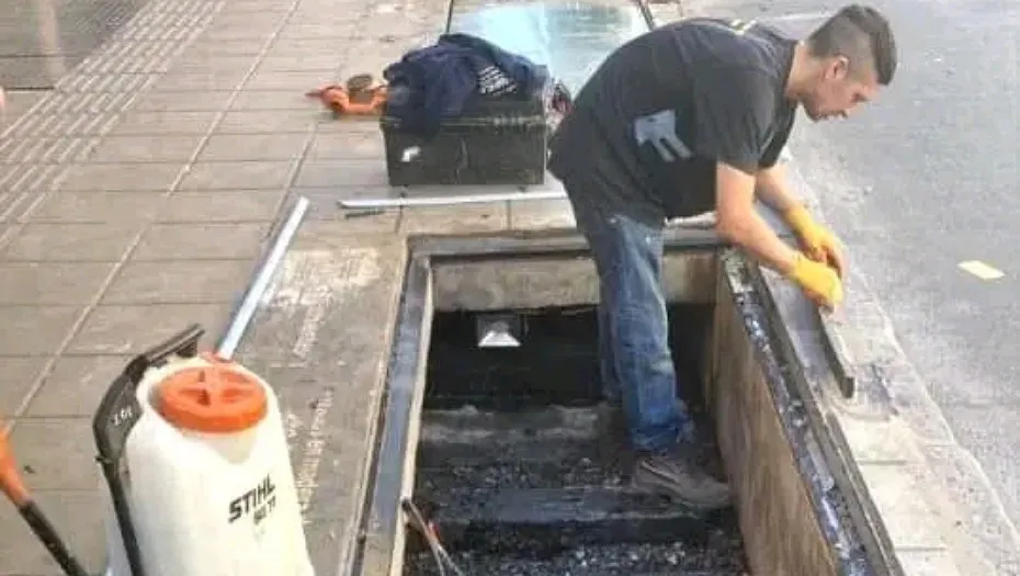 IMG_20241029_155338_(930_x_525_píxel)