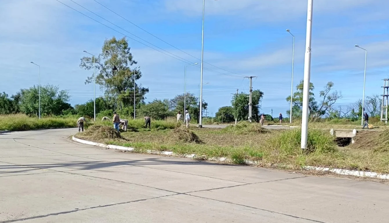Macapillo