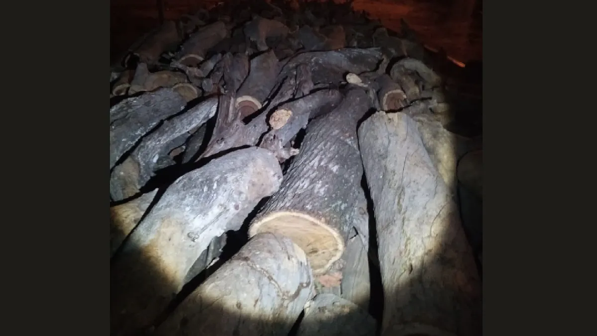 Producto forestal