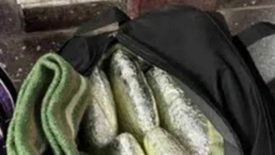 IMG_20240930_153206_(930_x_525_píxel)