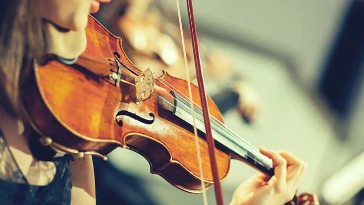 Violín