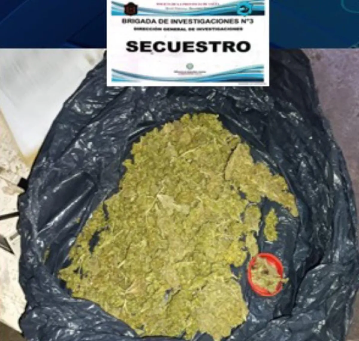 disecado