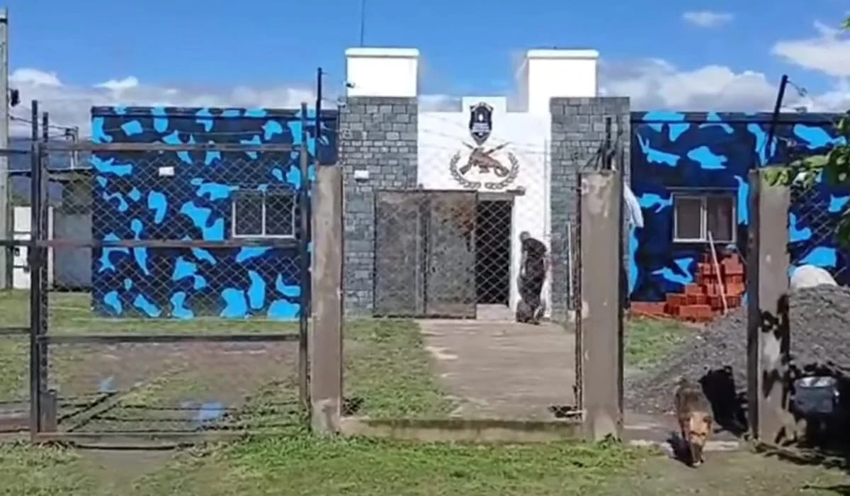 Infantería Rosario de Lerma (4)
