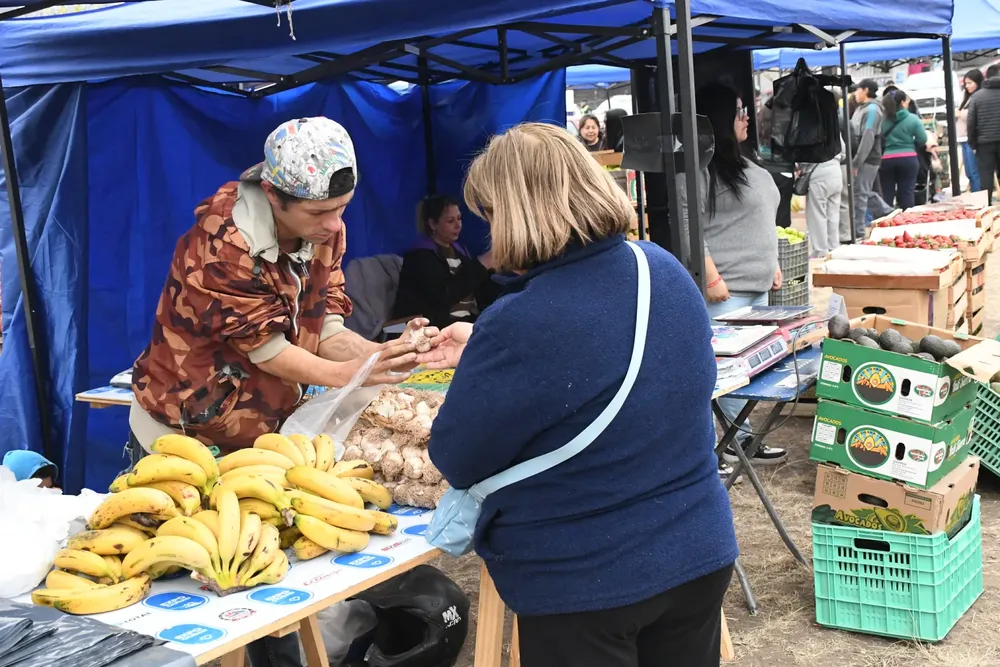 Mercado en tu barrio