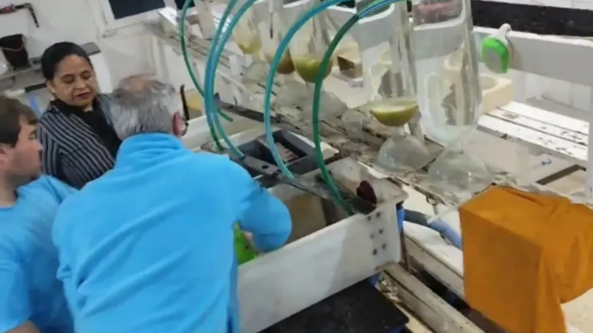 IMG_20251202_192947_(1200_x_675_píxel)