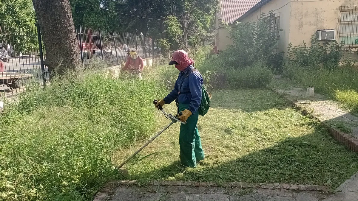 Desmalezado establecimientos escolares JVG
