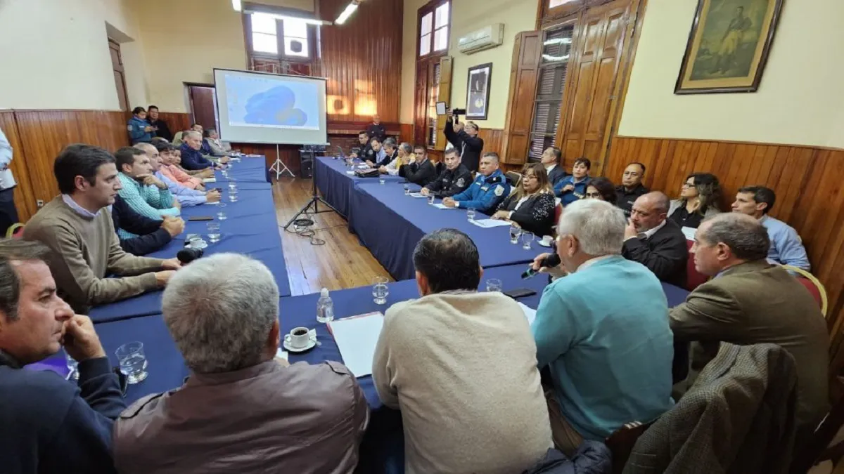 Informe